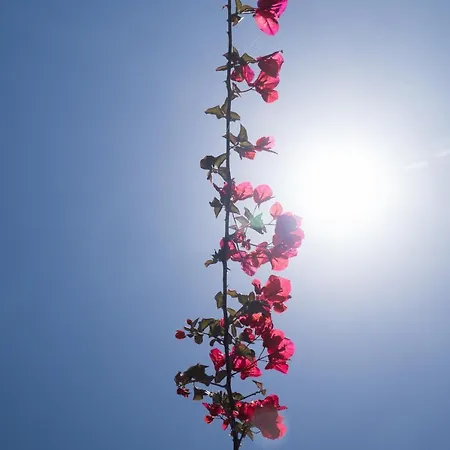 Aroma Séjour à la campagne Lakíthra