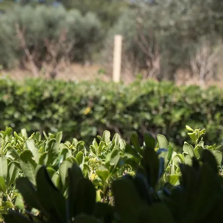 Aroma Séjour à la campagne Lakíthra