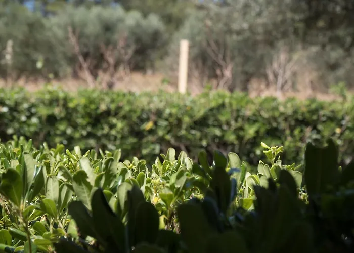 Aroma Εξοχικό σπίτι Λακήθρα