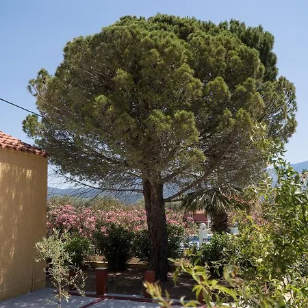 Aroma Летний дом